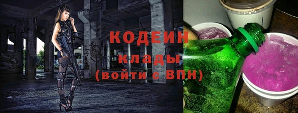 apvp Вяземский