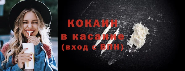 apvp Вяземский